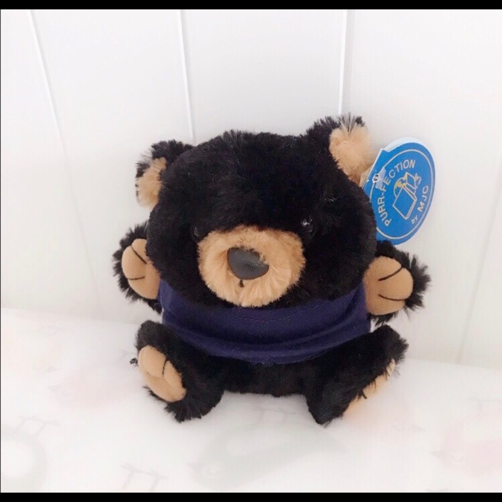 Baby Randy Black Bear Cushy Kids Stuffed Animal